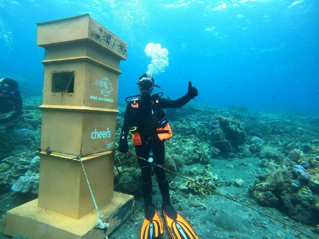 Gallery Photo 7 Oktober 2022. Pos Boc Underwater Banyuwangi